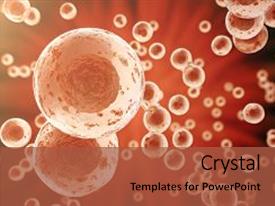 molecular biology powerpoint templates | crystalgraphics molecular biology powerpoint templates | crystalgraphics, Presentation templates