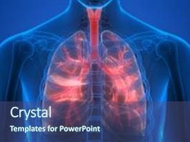 lung powerpoint templates | crystalgraphics lung powerpoint templates | crystalgraphics, Presentation templates